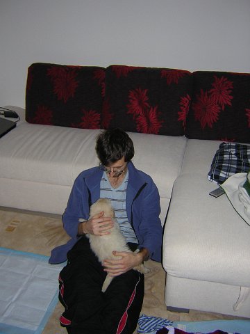 Original image